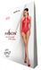 Бодистокинг Passion BS088 red