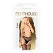 Колготки с имитацией чулок на подвязках Penthouse - Special Extra Black XL, Черный